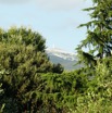 Ventoux vue gite.JPG