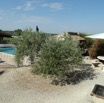 Piscine vue du gite.JPG